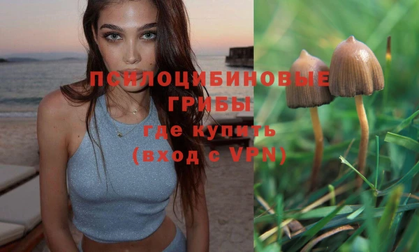 кокаин Алексин