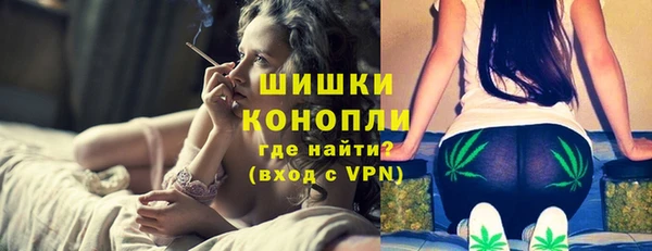 ПСИЛОЦИБИНОВЫЕ ГРИБЫ Арсеньев