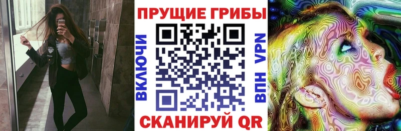 наркотики  Спасск-Дальний  MEGA онион  Псилоцибиновые грибы Psilocybe 